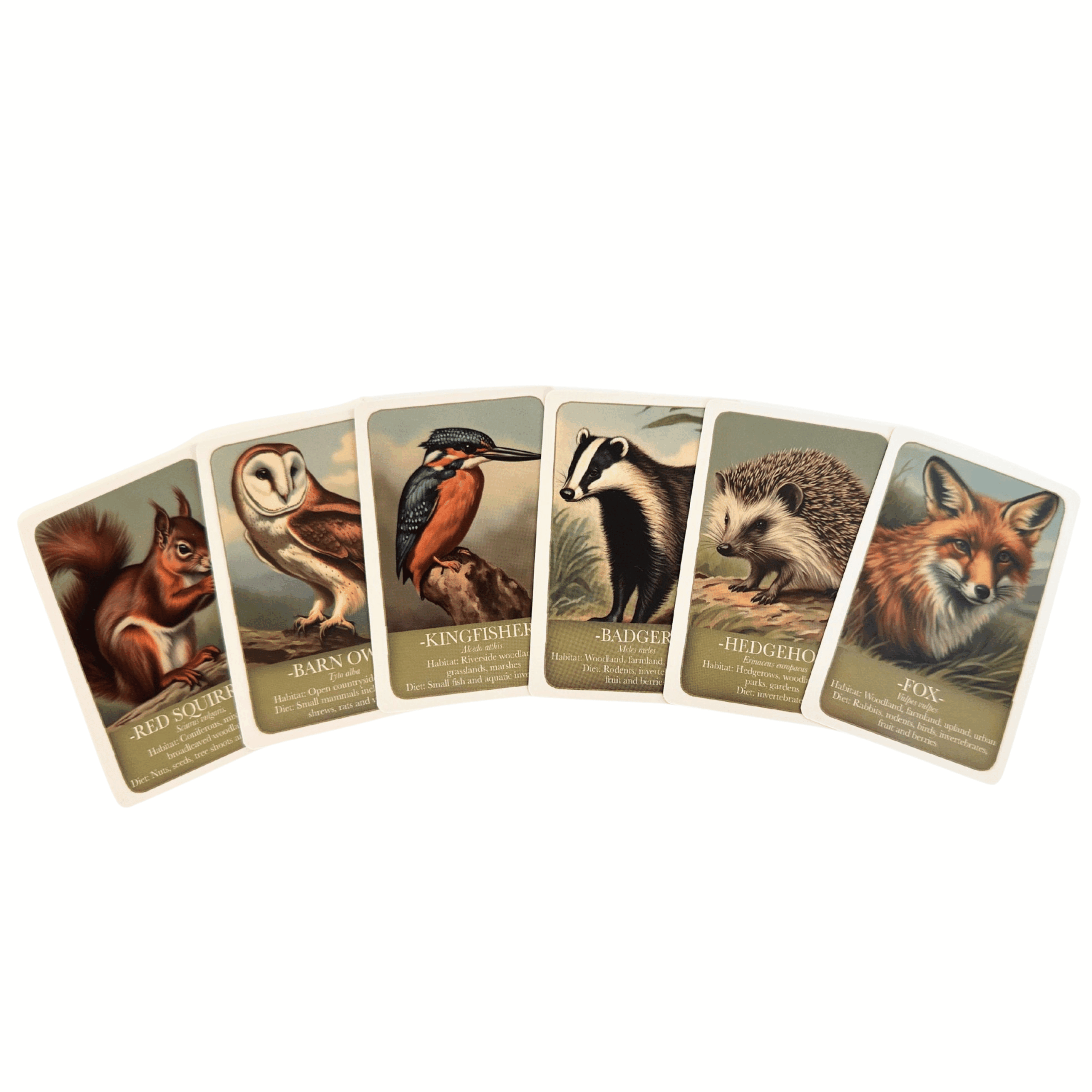 Paires d’animaux sauvages - Image 3